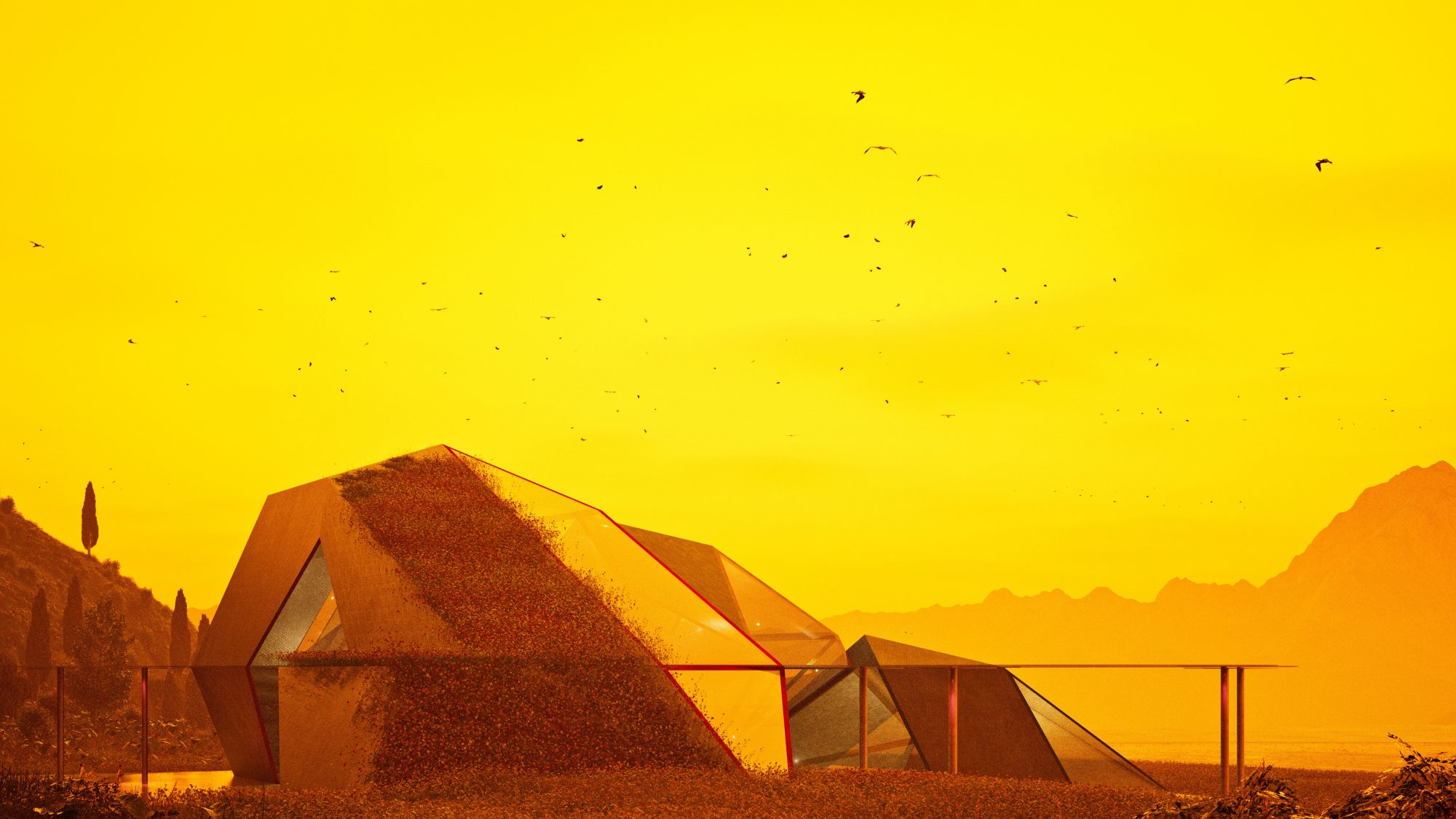 Video9 – Snapshot39